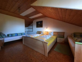 Wiesenheimhof - Apt 1 Terento
